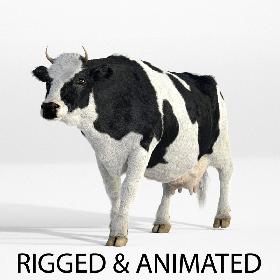 Cow - realistic - rigged and animated